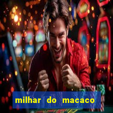 milhar do macaco que mais saem no jogo do bicho