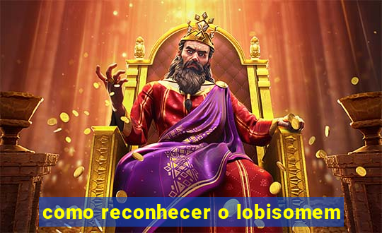 como reconhecer o lobisomem