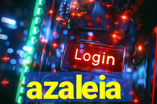 azaleia-br.com