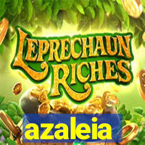 azaleia-br.com