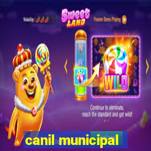 canil municipal